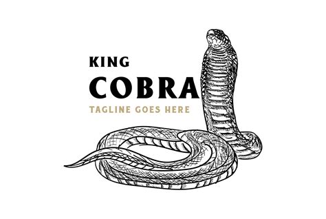 Vintage Hand Draw King Cobra Or Black Mamba Snake For Tattoo Logo