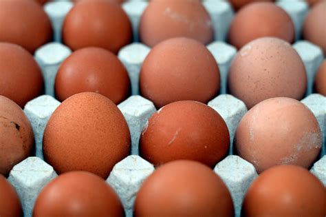 Pile Of Organic Brown Fresh And Raw Hen Chicken Eggs Stack Of Eggs
