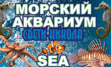 Морски аквариум "Свети Никола" - Несебър | Опознай.bg