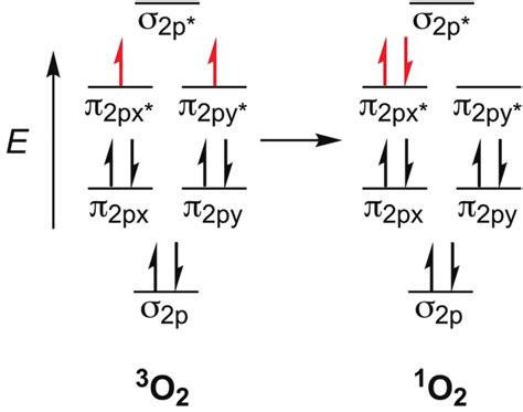 Molecular Orbital Diagrams Showing The Electron Distribution In Triplet