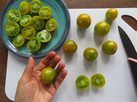 Tomate Fat Frog SEMENCES Le Potager Ornemental De Catherine