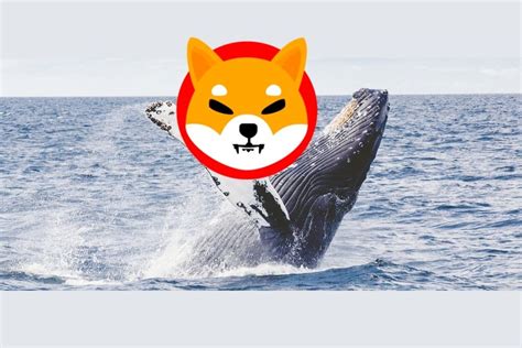 New Born Shiba Inu Whale Accumulates Trillion Shib In A Single