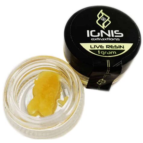 Purple Punch Live Resin Meds High