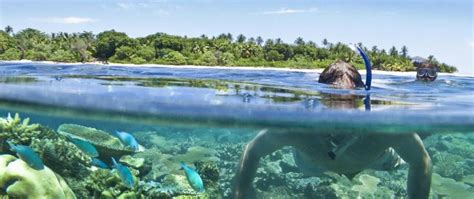 Rarotonga Cook Islands Island Resort Fiji Resort Honeymoon Locations