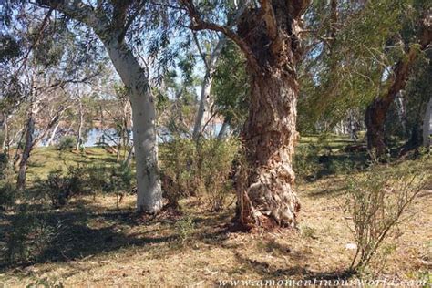 Lap Of Oz Day 75 De Grey River Rest Area Simple Living Creative
