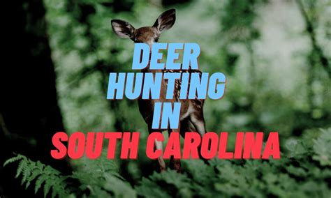 South Carolina Deer Hunting Season 2024 Farand Fredelia