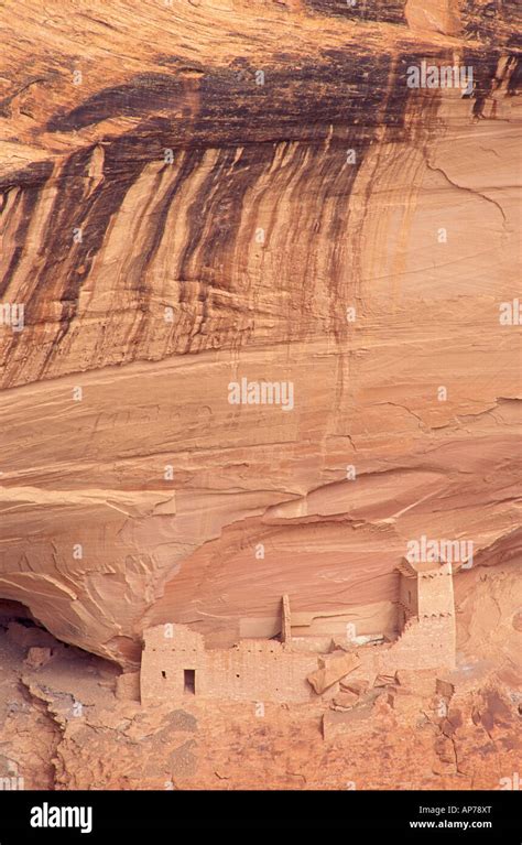 Mummy Cave Ruin In Canyon Del Muerto Canyon De Chelly National Monument