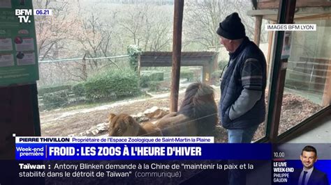 Comment les zoos s'adaptent pour protéger les animaux du froid