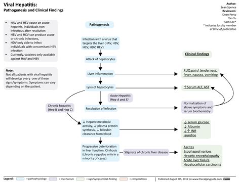 Viral Hepatitis Calgary Guide