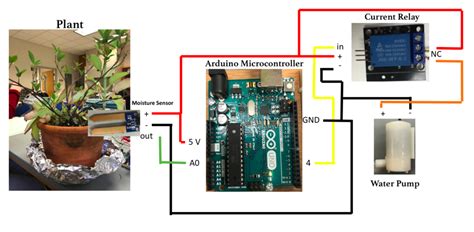 Building An Automatic Plant Watering System With An Arduino