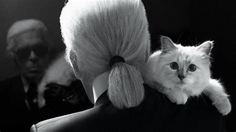 Remembering the Perfect Partnership Between Karl Lagerfeld and His Cat ...