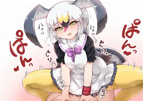 Rule 34 Bird Tail Black Tailed Gull Kemono Friends Blush Breath