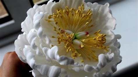 How To Make An Open Gumpaste Peony Edible Fondant Sugar Cake Topper Tutorial Sugarpeonytutorial