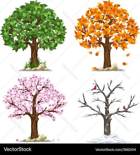 Four Seasons Royalty Free Vector Image VectorStock