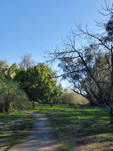 Best Hikes and Trails in Tijuana River Valley Regional Park | AllTrails