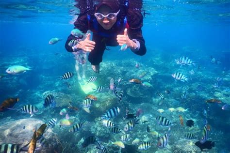 Paket Tour Karimunjawa Homestay AC 4H3M Via Kapal Mixed