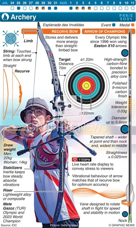 Paris 2024 Olympic Archery Infographic