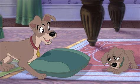 Lady And The Tramp Ii Scamps Adventure Where To Watch And Stream