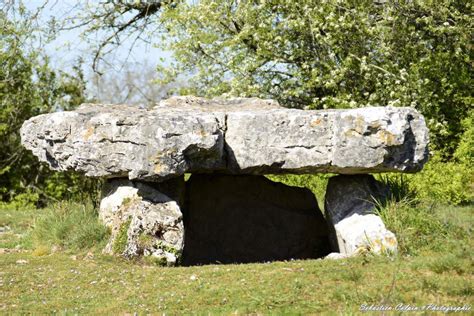 Dolmen Du Causse De La Palein Saint Cernin De Larche Les Photos De