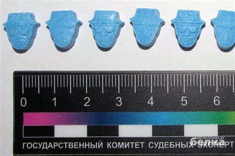 Пятерых жителей Гомельщины будут судить по наркотической статье