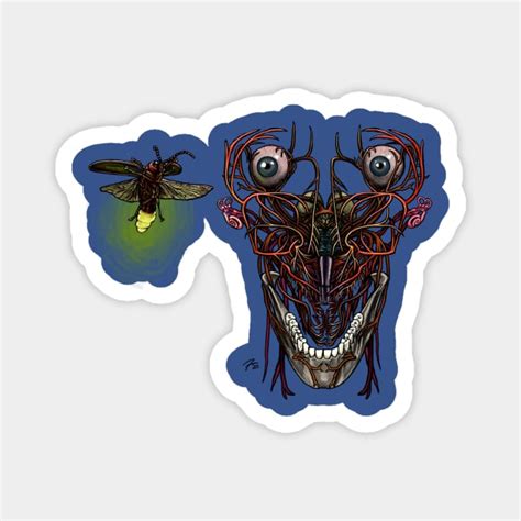 Cranial Nerves And Truncus Cerebri Anatomical Magnet Teepublic