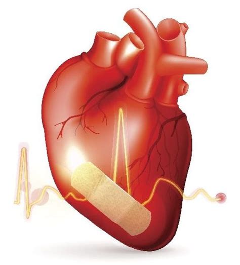 Aha Names 2017s Top Advances In Heart Disease And Stroke Research