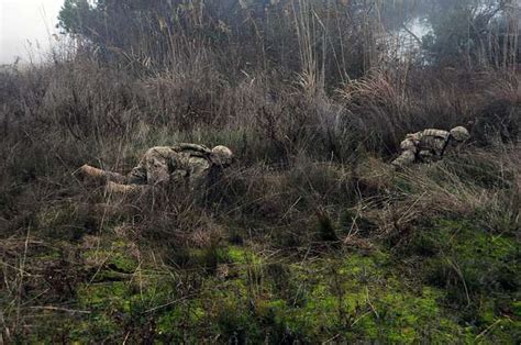 U S Army Paratroopers From 54th Brigade Engineer Battalion NARA