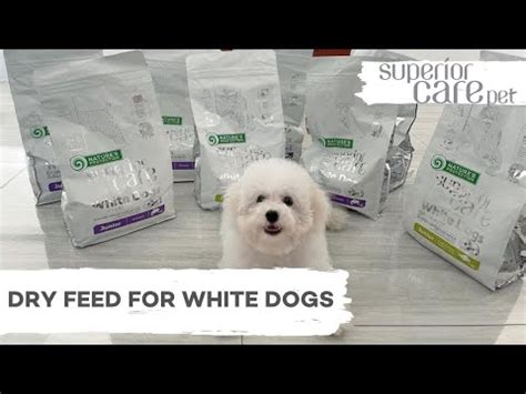 White Dog Food: Insect Formula by Nature's Protection