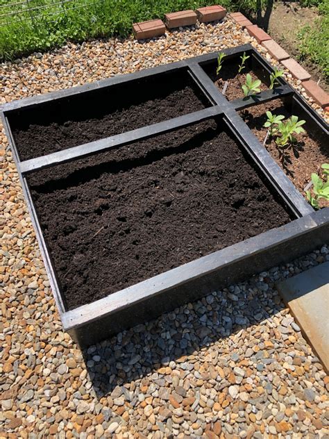 The Best Raised Garden Beds On A Budget Gardenary