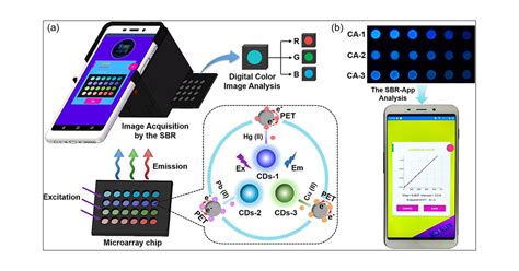 A Smartphone Based Sensing System For On Site Quantitation Of Multiple