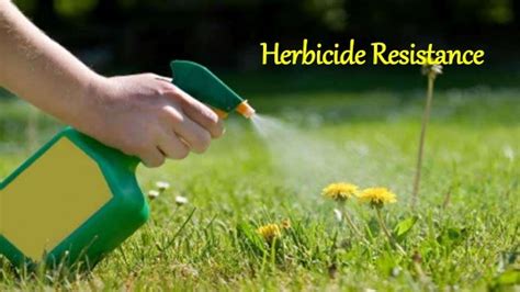 Pest And Herbicide Resistance