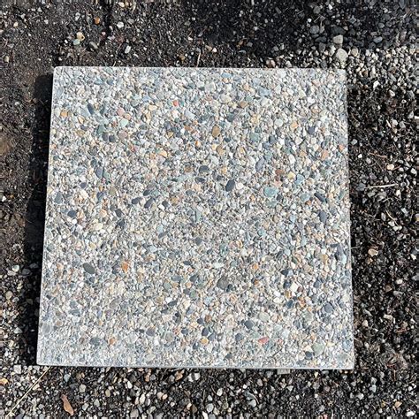 16 Square Exposed Aggregate Stepping Stone Southern Idaho Landscape