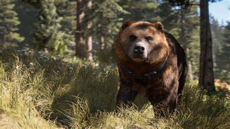 Bonjour On Tumblr Far Cry 5 Photo Mode Cheeseburger