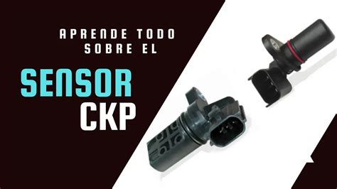 Qué Es El Sensor Ckp Fallas Función Y Ubicación 2024