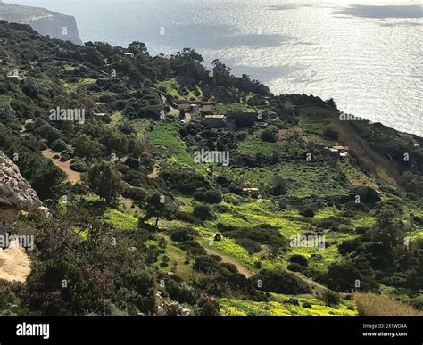 Coastal Landscape In Malta Mediterranean Sea Republic Of Malta Stock