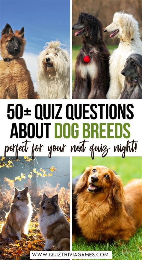 50+ Dog Breed Quiz Questions and Answers - Quiz Trivia Games | Dog ...