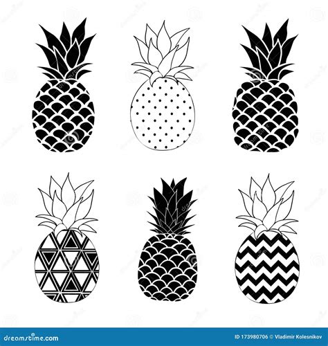 Pineapple Vector Black And White Three Different Outlines Vector