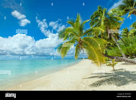 Cook Islands Aitutaki Island Tropical Sandy White Beach With