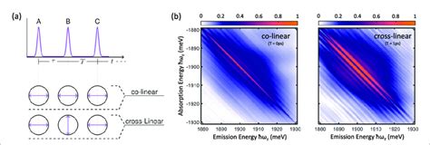 A Excitation Pulse Sequence And Excitation Polarization Schemes In