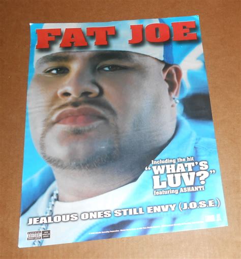 Fat Joe Jealous Ones Still Envy 2002 Poster Window Cling 11x14 Rap EBay