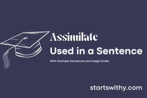 Assimilate In A Sentence Examples 21 Ways To Use Assimilate