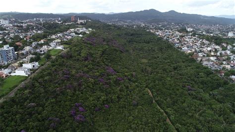 Mais Que Um Pulm O Parc O De Novo Hamburgo Um Calmante Natural