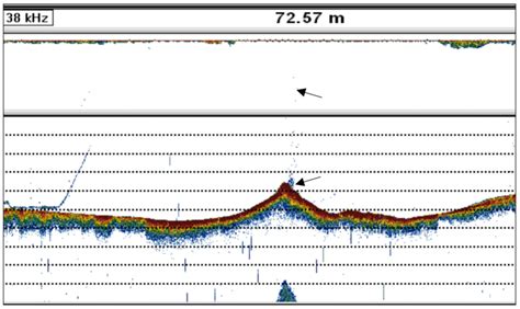 Single Beam Echosounder Profile Showing Topography Of One Of The