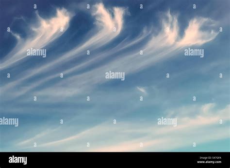 Mares Tails Of Pretty Wispy Cirrus Uncinus Clouds In Bright Blue Sky