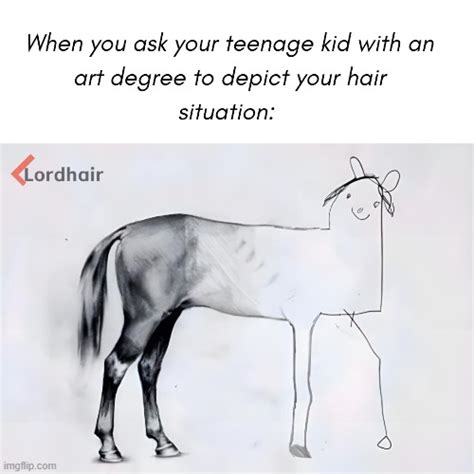 Hair Loss Memes Imgflip