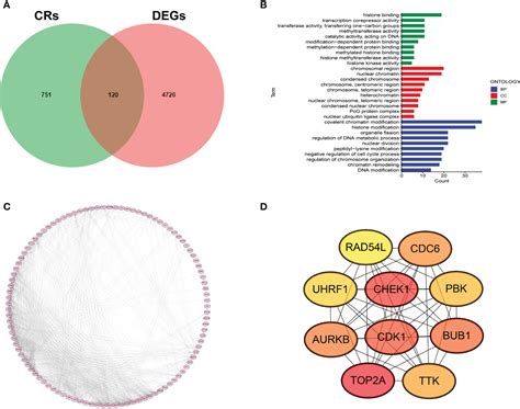 Frontiers Integrated Single Cell And Transcriptome Sequencing