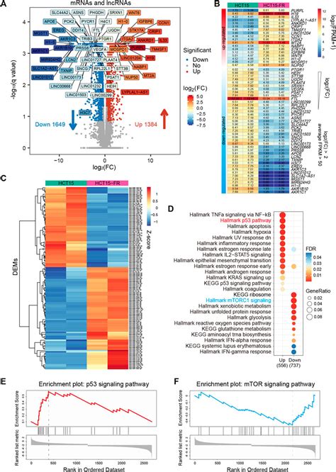 Frontiers Integrated Chromatin Accessibility And Transcriptome