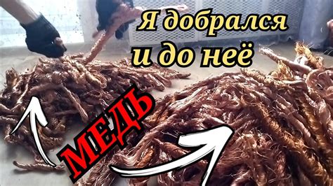 Поленница из меди. Ещё одна гора! Добываю медь - YouTube