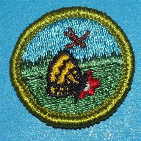 NATURE TYPE G MERIT BADGE CLOTH BACK BOY SCOUTS 7028 EBay