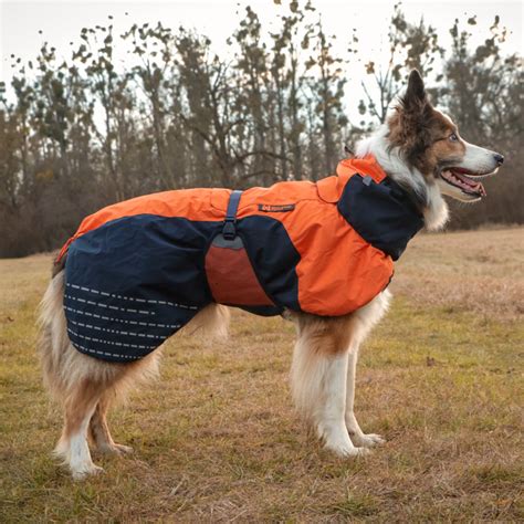 Dog Coats from Non-Stop Dogwear - Shopping Guide | havohravo.com